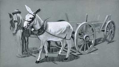 Black and white drawing of mules and man with wagon in French Guiana 1940's by William Teason